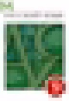 Обложка Русский язык 9 класс Разумовская