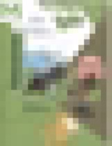 Обложка Биология 5-6 класс рабочая тетрадь Сухова Строганов