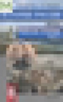 Обложка История 8 класс Данилов, Косулина