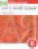 Обложка Русский язык 6 класс рабочая тетрадь орфография Ларионова Л.Г.