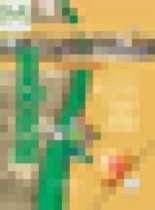 Обложка История России 9 класс Данилов