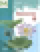 Обложка Биология 6 класс рабочая тетрадь Пономарева Корнилова