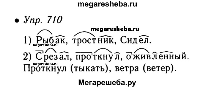 Русский язык 5 класс учебник упр 289. Русский язык 5 класс ладыженская упражнение 669. Русский язык 5 класс ладыженская 710. Русскому языку 5 класс м.т. Баранов. Русский язык 5 класс упражнение 710.