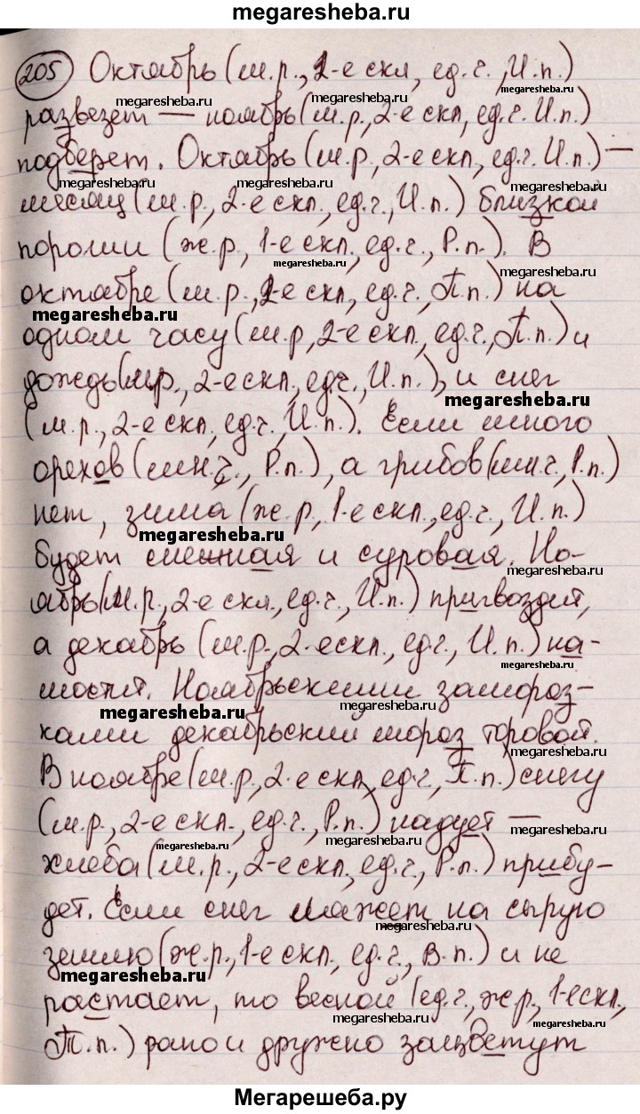 Упражнение - 205 гдз по русскому языку 6 класс Мурина, Игнатович