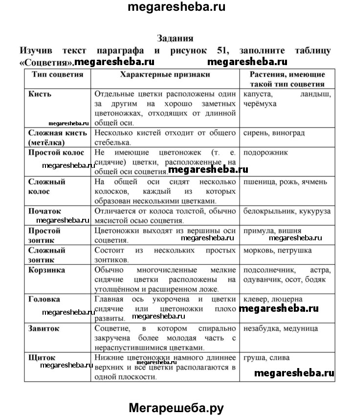 Таблица соцветия биология 6 класс параграф 12