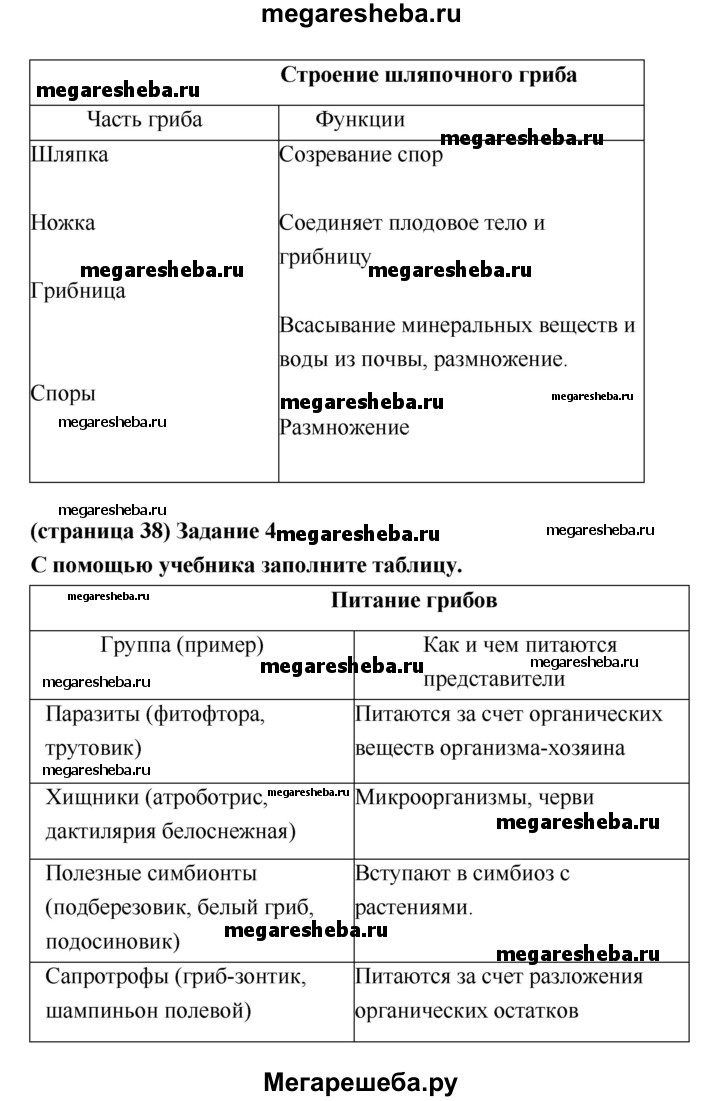 ГДЗ параграф 26 биология 5 класс Сивоглазов, Плешаков
