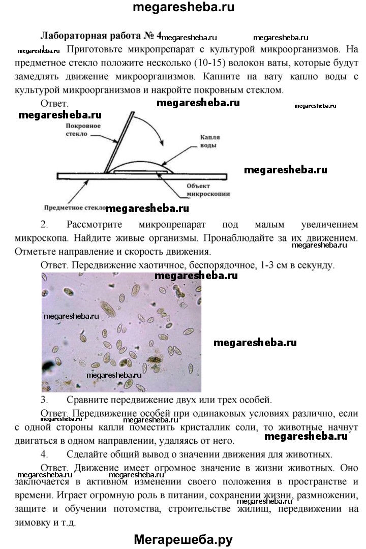 Биология 9 класс пономарева лабораторная работа 5. Биология лабораторная работа 4. Лабораторная по биологии 5 класс. Лабораторная работа 4 по биологии 5 Пономарева. Гдз по лабораторным работам по биологии 5 класс.