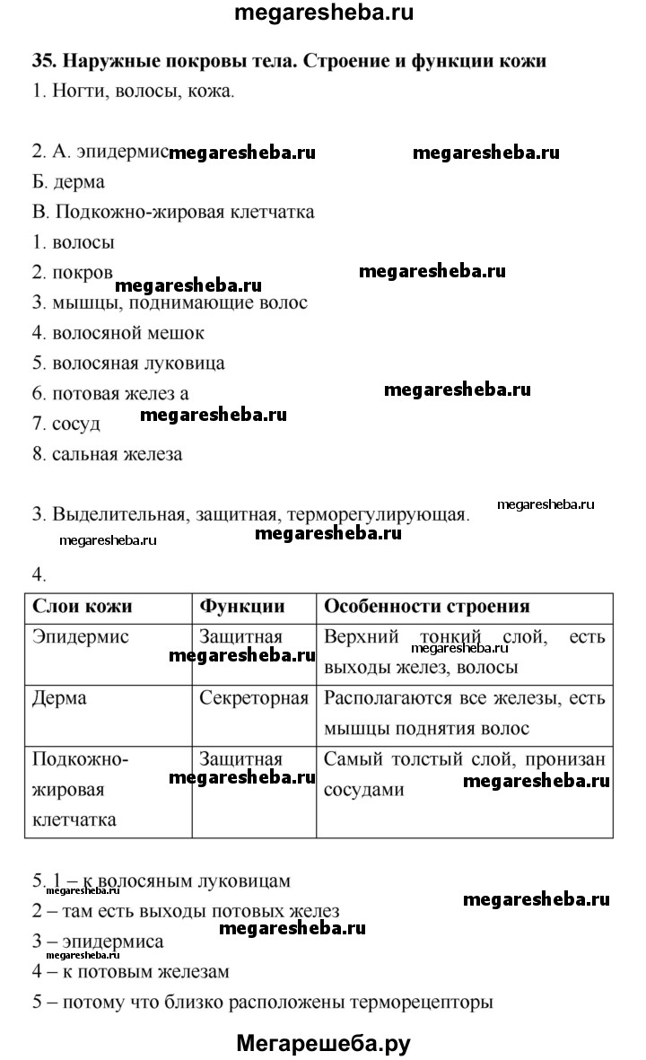 Параграф - 35 гдз по биологии 8 класс Пасечник, Швецов рабочая тетрадь