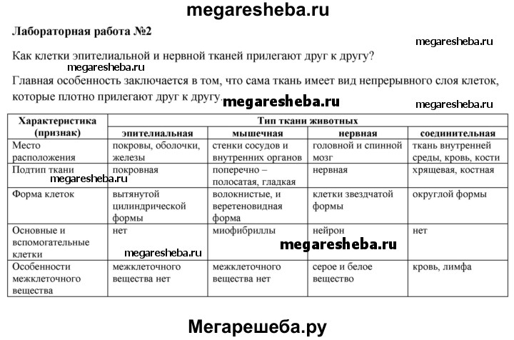 План лабораторной работы по биологии