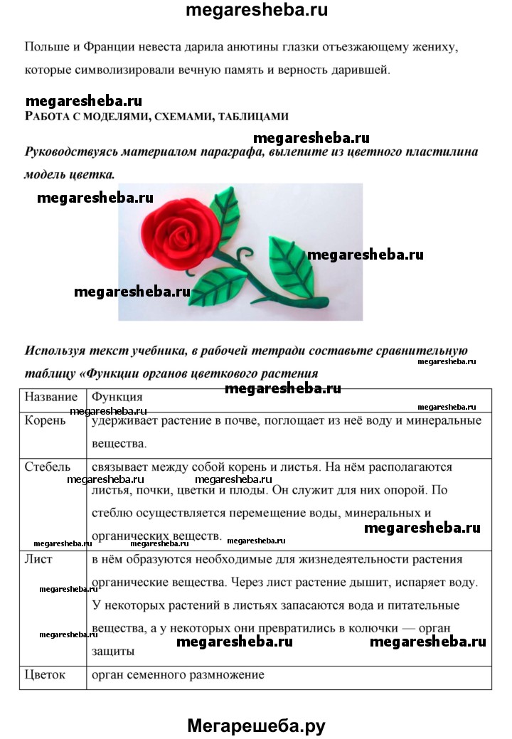 Биология 6 класс параграф 13 таблица Биология 6 класс параграф 13 таблица